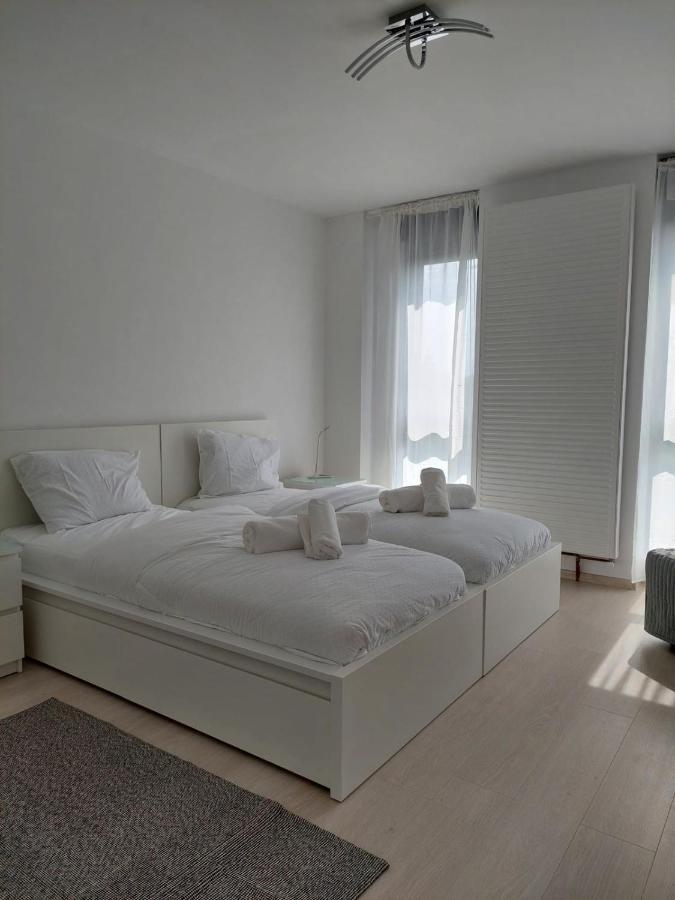 Casa Maria City Apartments ทิมิชัวรา ภายนอก รูปภาพ